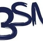 bsnwritingservices